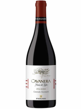 Cavanera Sciara del Tiglio Contrada Zucconerò Etna Rosso DOC 2020 - Firriato