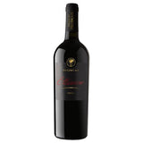Ettamiano Salento Primitivo IGP 2020 - Cantine Due Palme
